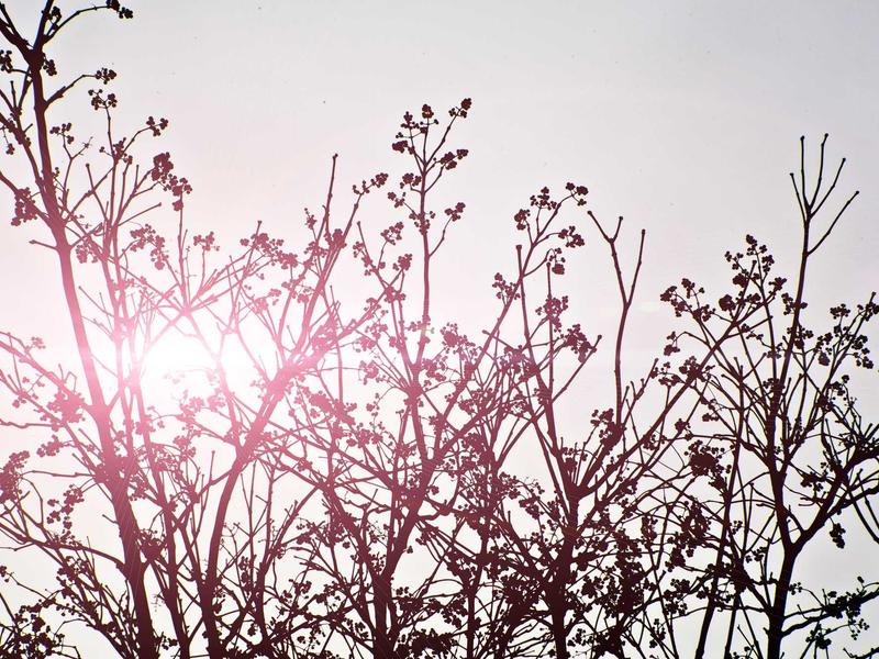 sudoku difficulty levels screenshot 2