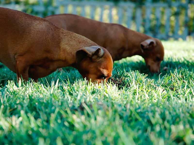 sudoku landscape mode screenshot 1