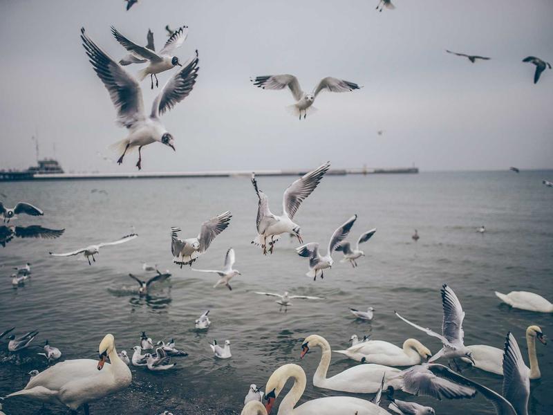 sudoku progress save screenshot 2