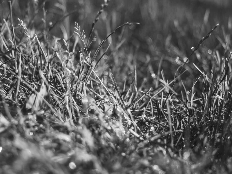 sudoku landscape mode screenshot 4